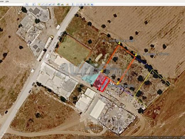 Beau terrain borné 1000 m2 ain noqbi