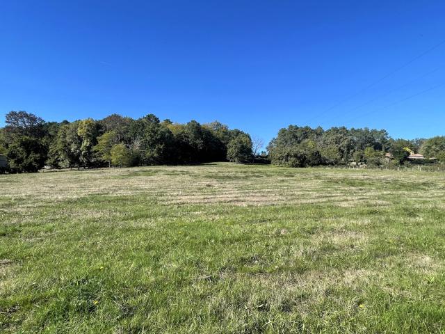 Beau terrain de plus de 14 000 m2 dont environ 10 000 m2 constructibles