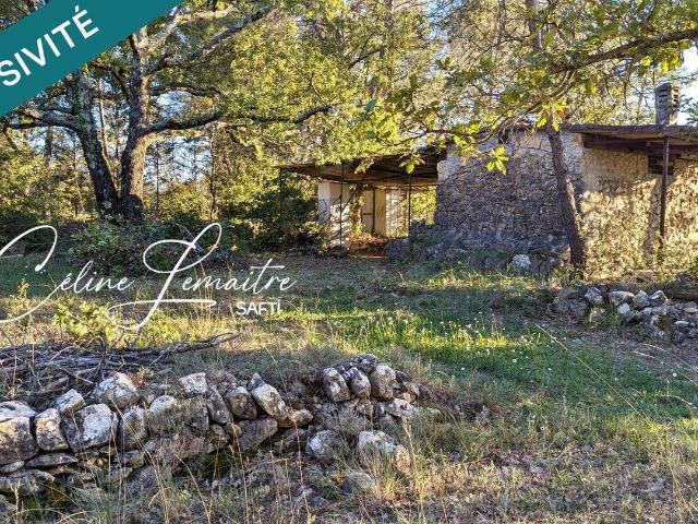 beau terrain naturel avec cabanon