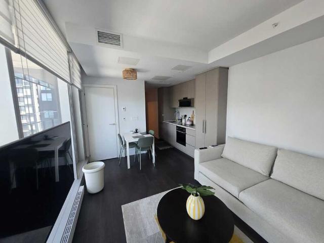 Beau 3 ½ En Plein Downtown
