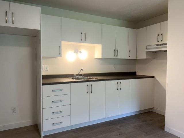 BEAU 3½ | INTERNET INCLUS |MONT BELLEVUE