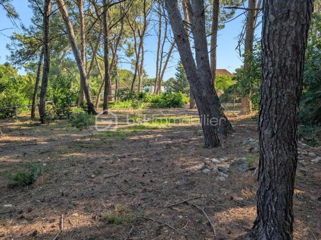 Beaucaire Vente Terrain 30