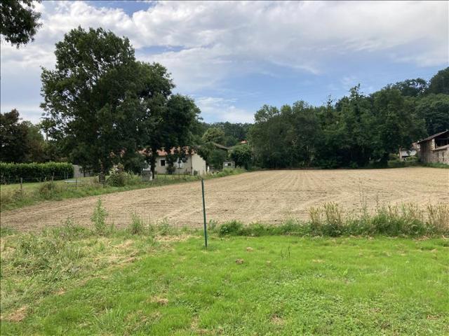 Beauchalot Vente Terrain 31