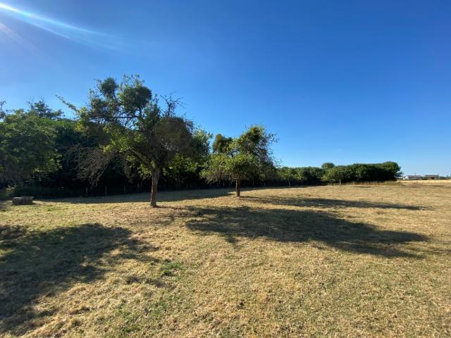 Beaubray Vente Terrain 27