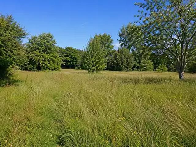 Beaugeay 17620 Programme neuf terrain neuf à vendre