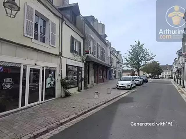 Beaugency 45190 Achat / Vente immeuble