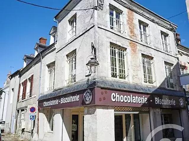 Beaugency 45190 Achat / Vente maison 9 pièces t9