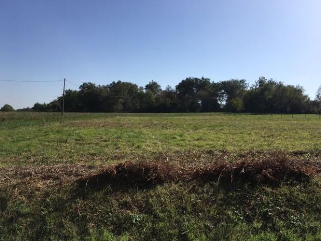 Beaufort Vente Terrain 31