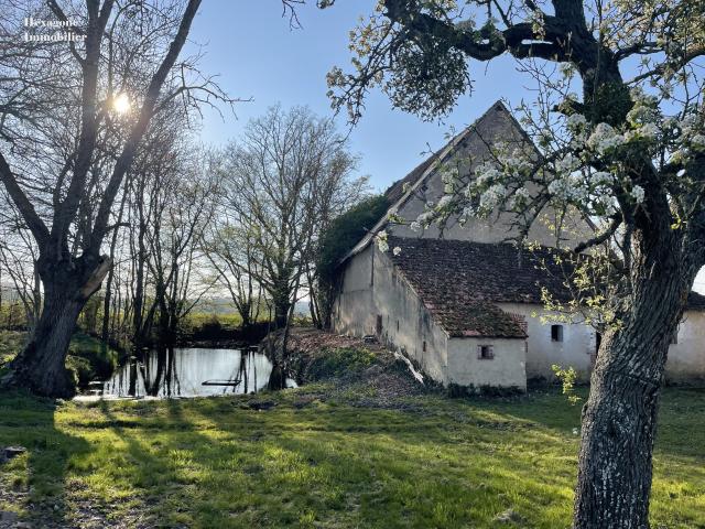 Beaulieu sur Loire Vente Maison 45