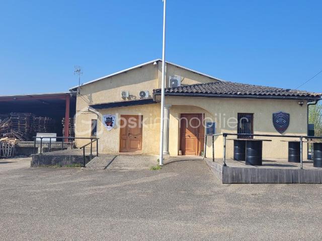 Beaumont de Lomagne Vente Immeuble 82