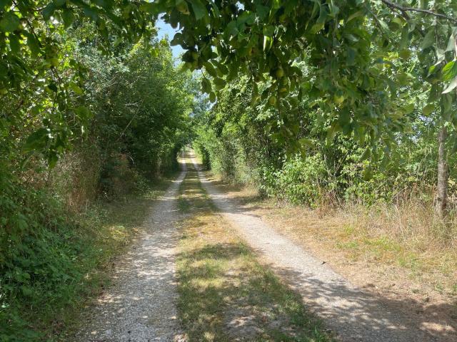 Beaumont du Périgord Vente Maison 24