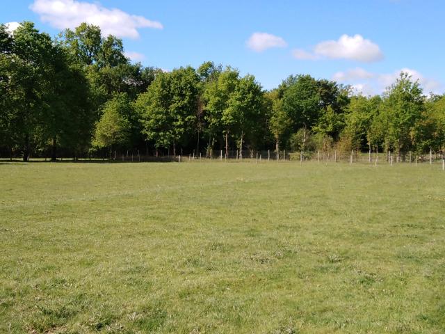 Beaupouyet Vente Terrain 24