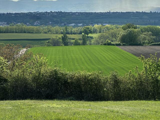 Beauregard l'Évêque Vente Terrain 63