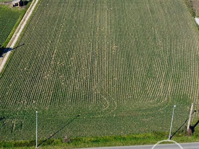 Beaurepaire Vente Terrain 38