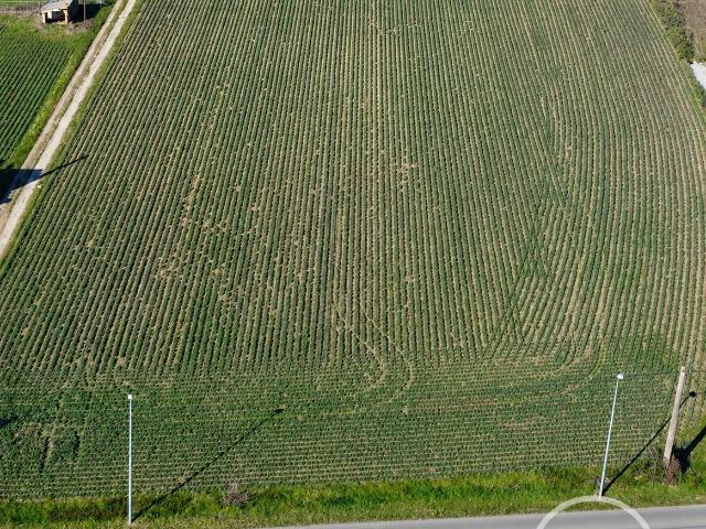 Beaurepaire Vente Terrain 38