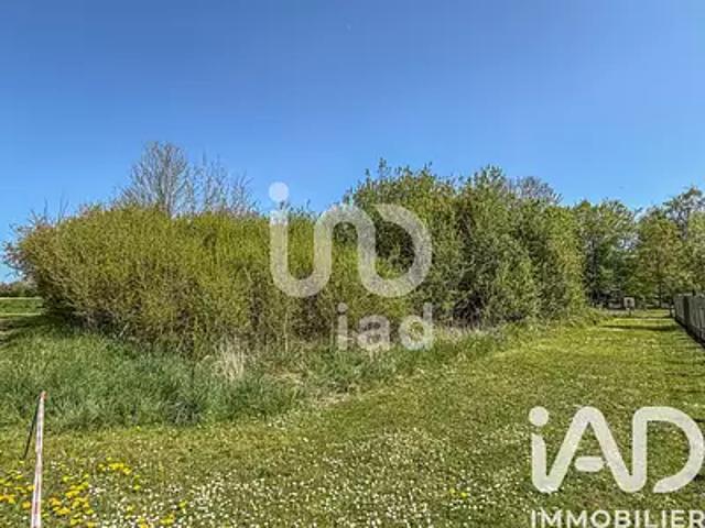 Beautheil Saints 77120 Achat / Vente terrain