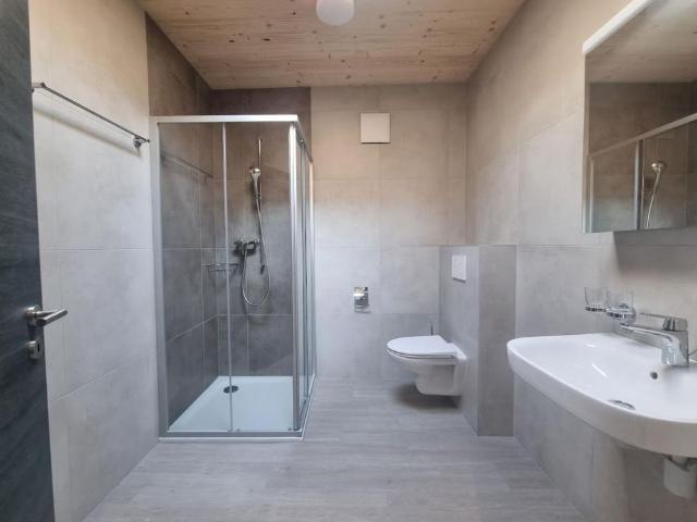 Beautiful 3.5p apartment in Le Bouveret