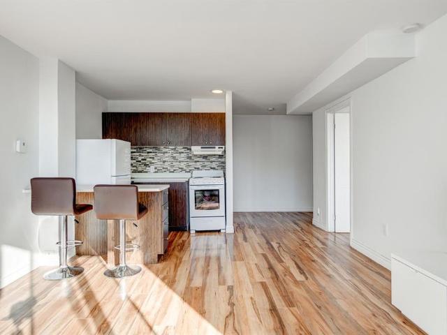 Beautiful 3 1/2 – Available NOW 3777 ST URBAIN, Montréal
