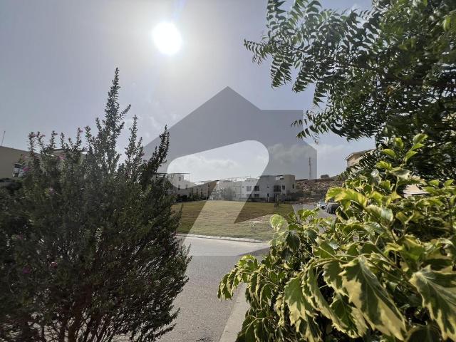 Beautiful 160 Square Yard House / Park Face / West Open/40 Ft Rd Naya Nazimabad Block D