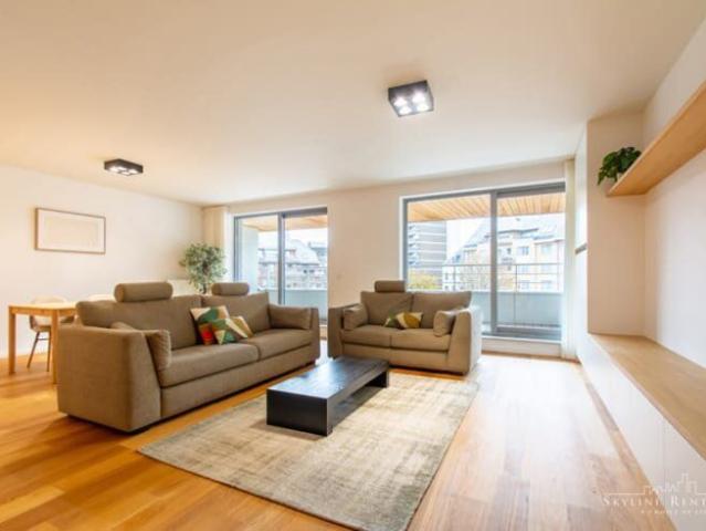 Beautiful 2 3 bd. apartment with TERRACES EU District