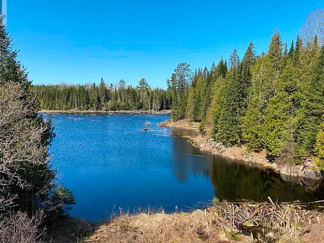 Beautiful 2+ Acre Vacant Land For Sale Build Your Dream Home