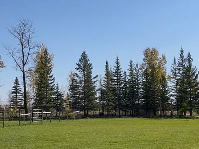 Beautiful 2 Acres Lot In Mitchell For Sale