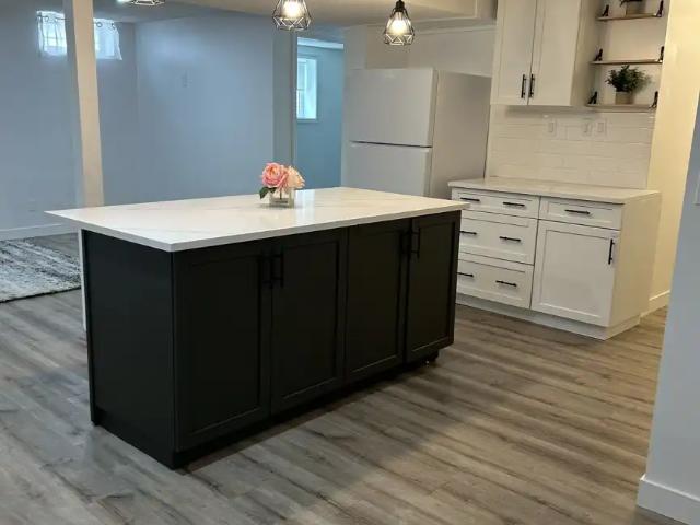 Beautiful 2 Bedroom 1 Bathroom Basement Suite in Bonavista Downs