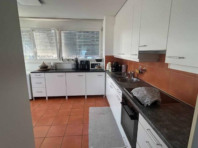 Beautiful 4.5 room apartment on the 2nd floor with lake view