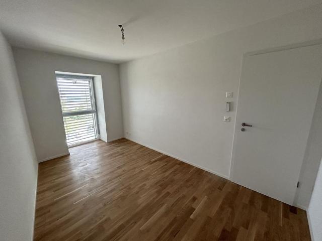 Beautiful 4.5 room apartment