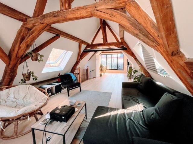 Beautiful 4 bedroom apartment terrace Center Brussels