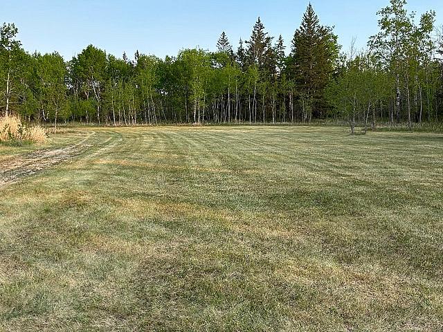 Beautiful 65 Acre Property