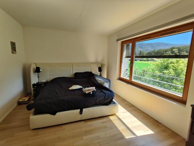 Beautiful 6 room villa with garden in Plan les Ouates