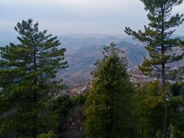 Beautiful corner flat for rent in ceicel resort near mall road muree Murree ID 14205