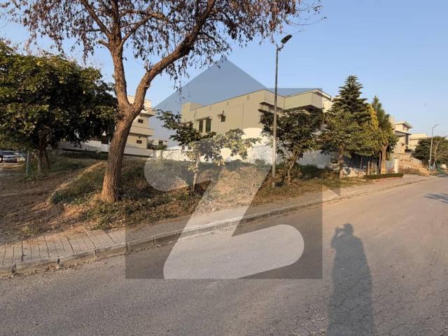 Beautiful Corner Plot For Sale