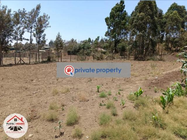 Beautiful Â¼ 100 X 100ft Residential Plot Available