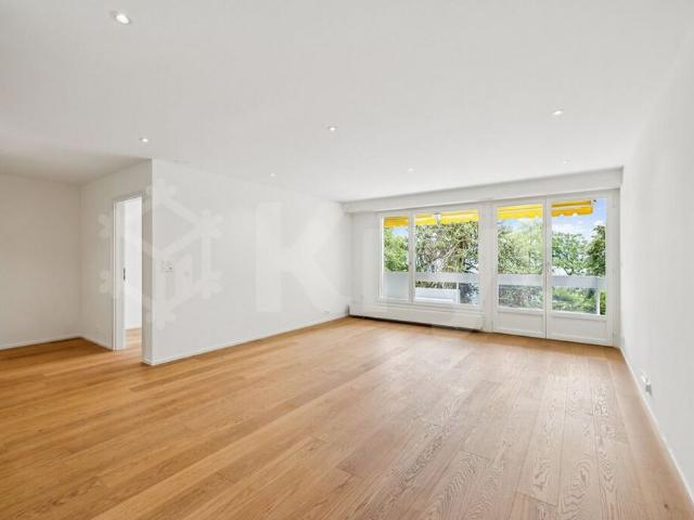 Beautiful apartment on the 2nd floor with a view of Lake Geneva