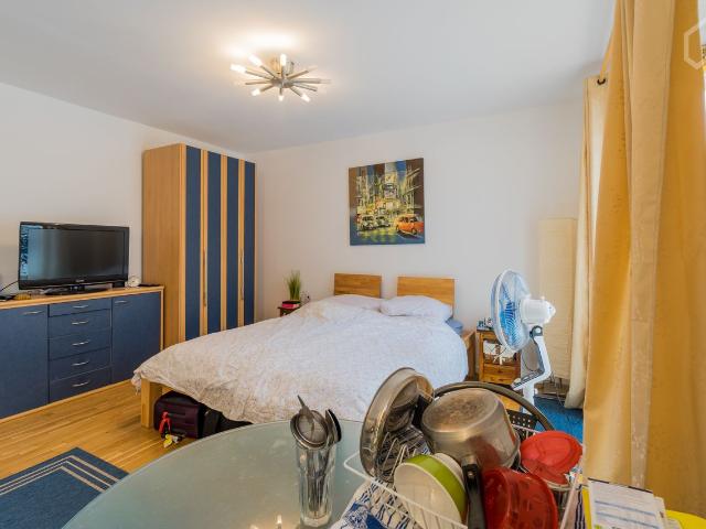 Beautiful apartment in a prime location in Berlin Mitte, Berlin Amsterdam Apartments for Rent