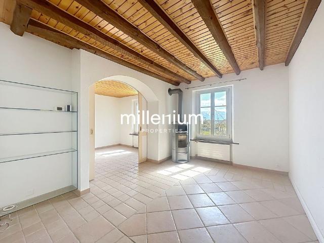 Beautiful apartment with garden and lake view in Lausanne