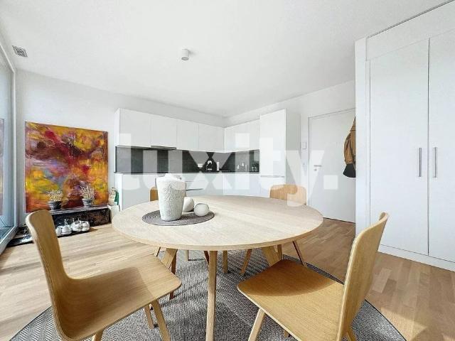 Beautiful apartment with large furnished rooftop
