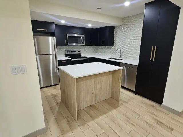 Beautiful Basement Suite