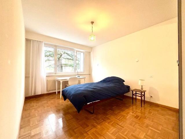 Beautiful furnished apartment with large terrace in quiet neighborhood in Nyon