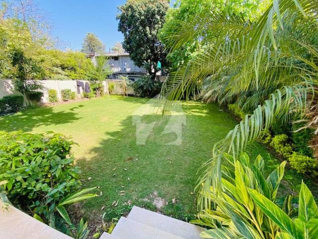 Beautiful House Available For Rent On Prime Location