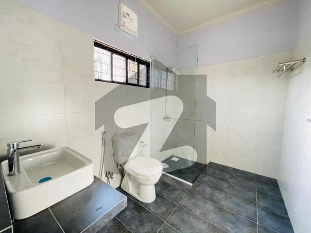 Beautiful house available for rent E 7