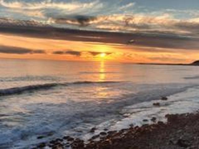beautiful one bedroom home in scarborough