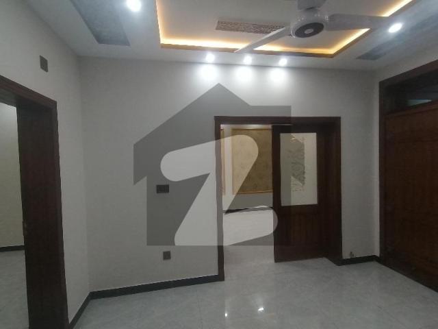 Beautiful location brand new house for rent d 12