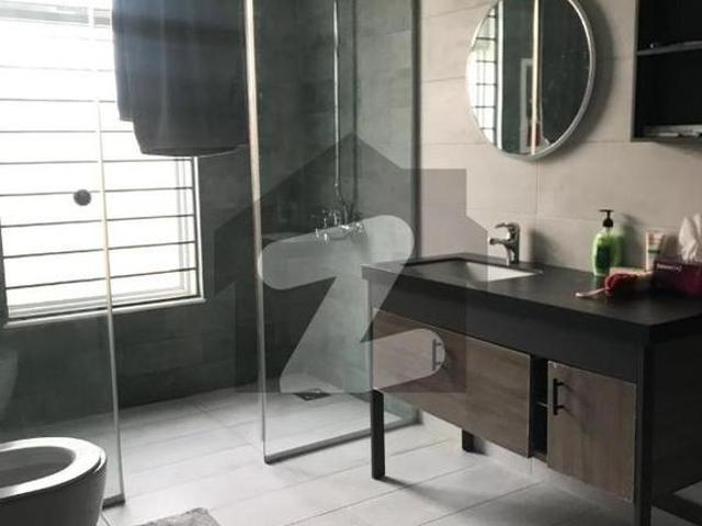 Beautiful location brand new house for rent d 12