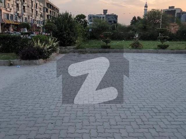 Beautiful location brand new house for rent d 12