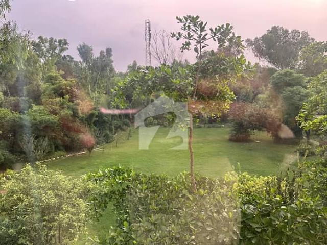 Beautiful location house for rent