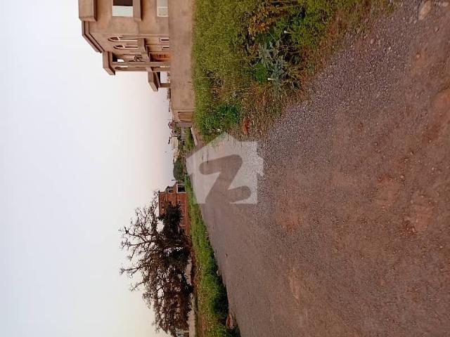 Beautiful Location Plot For Sale In G 14/3
