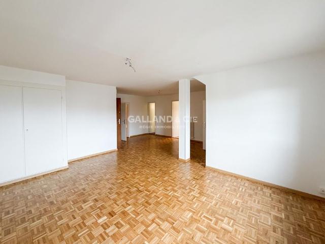 Beautiful loft in the center of Pully in attic
